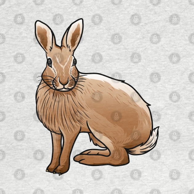Cottontail Rabbit by Sticker Steve